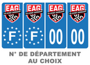 Pack Premium Autocollant Plaque d'immatriculation En Avant Guingamp Noir