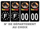 Pack Premium Autocollant Plaque d'immatriculation Dragon Ball Z